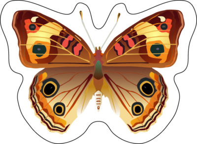 Бабочка клеевая